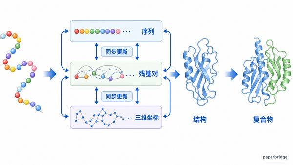 三条信息轨道总览