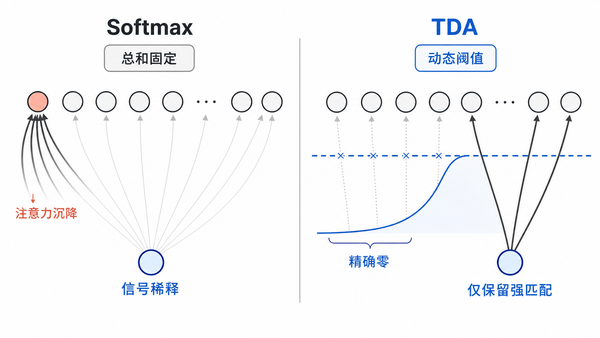 Softmax 与 TDA 的结构差异