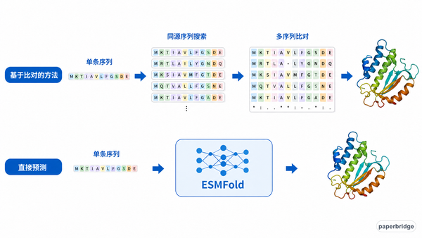 传统比对路线与 ESMFold 单序列路线的对比
