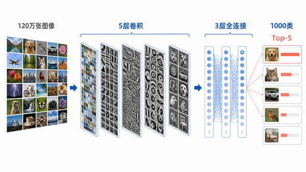 AlexNet 从图像到 Top-5 预测的教学流程图